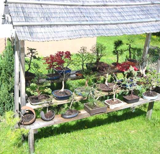 garten10d.jpg