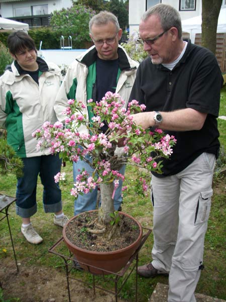 DSCI0021.jpg