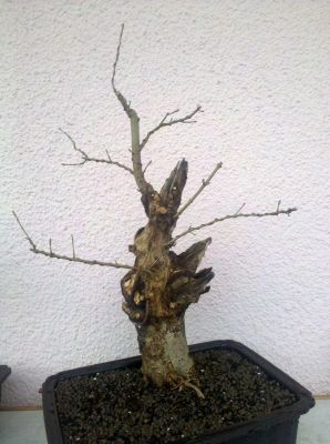 unbek.verkl.4.jpg