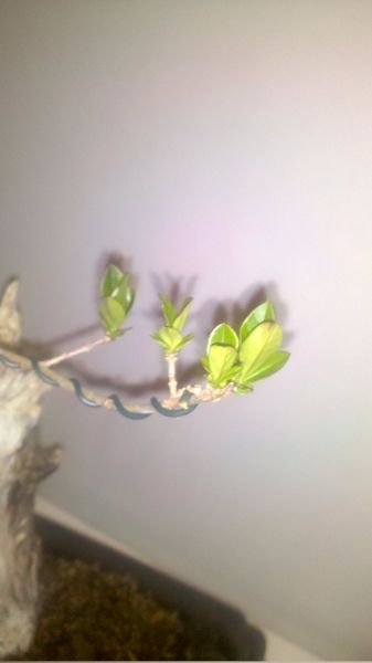 2010-05-07_20-02-22_345_Liezen_337_600.jpg