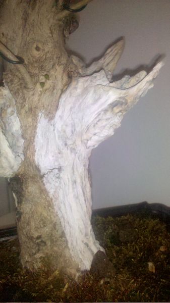 2010-05-07_20-02-50_307_Liezen_337_600.jpg