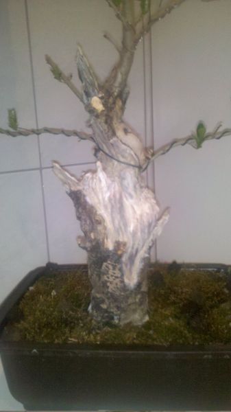 2010-05-07_20-03-12_225_Liezen_337_600.jpg