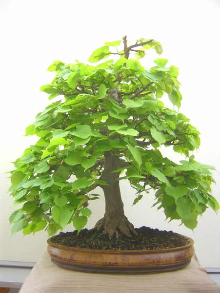 DSCN1923.JPG