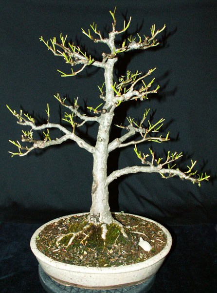 bPICT0007.jpg