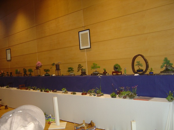 DSC05816.JPG
