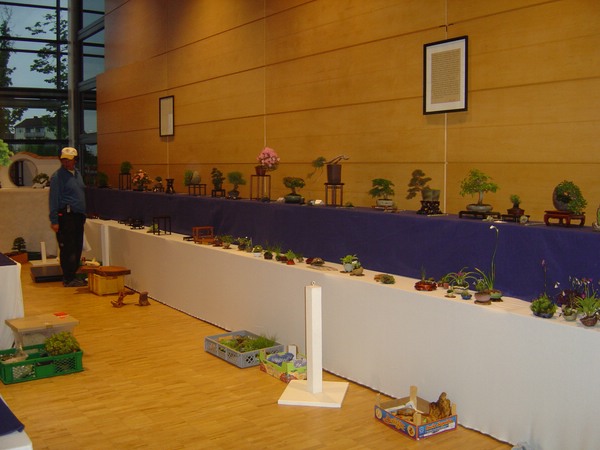 DSC05817.JPG