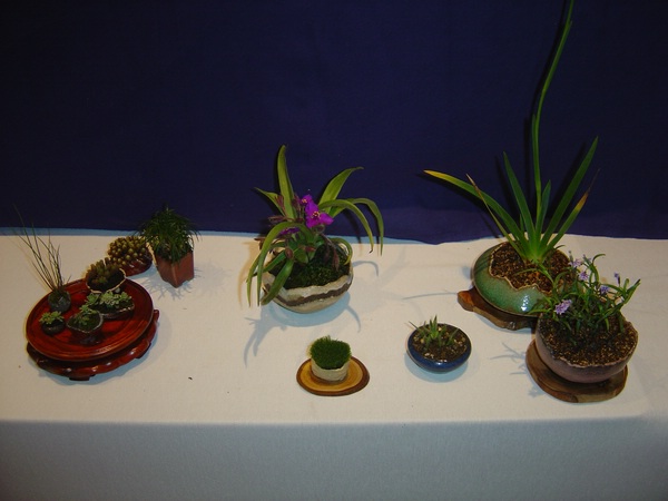 DSC05819.JPG