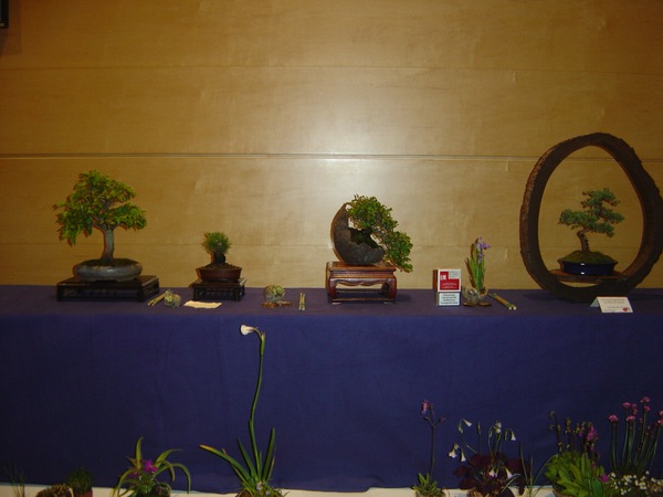 DSC05820.JPG