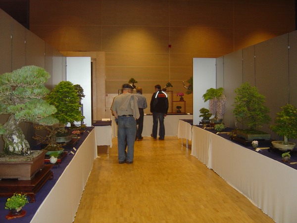 DSC05822.JPG