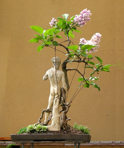 2010b.jpg