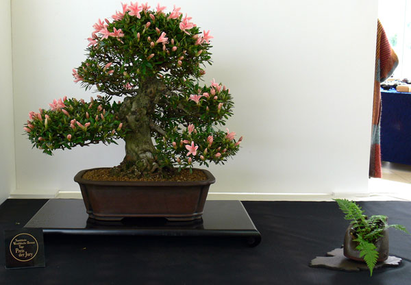Nyohozan-NRW-2010-4.jpg