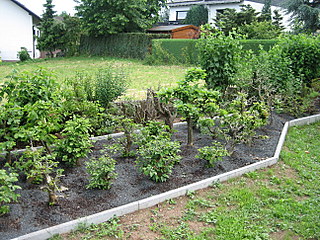 IMG_0044-1.jpg