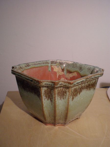 P5170243_450x600.JPG