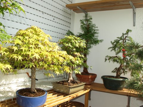 balkon 23.05.2010 023.JPG
