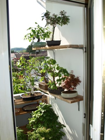 balkon 23.05.2010 041.JPG
