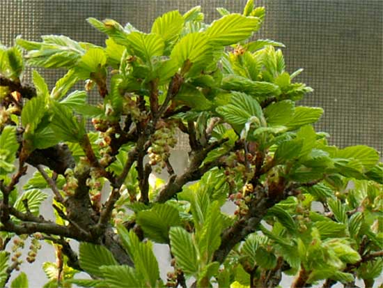 mai_2010.jpg