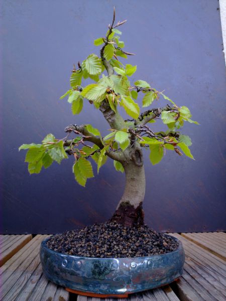 29052010084.jpg