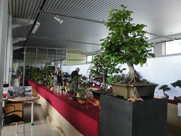 Blick in einen Teil der Ausstellung