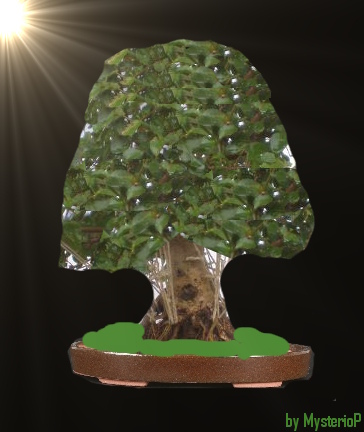 liguster greenhorn.JPG