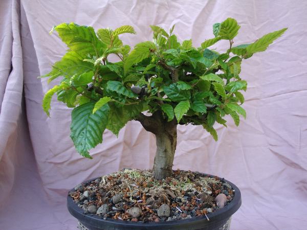 comp_DSC03073.jpg