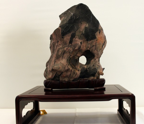 Bonsai 034.jpg