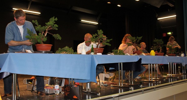 Bonsai 090.jpg