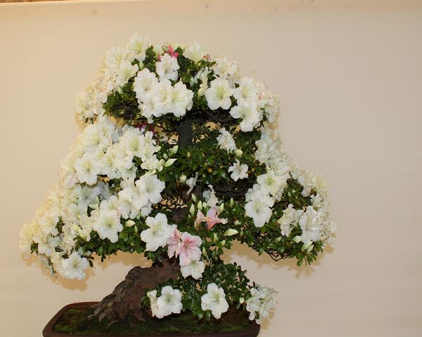 k-IMG_0014.JPG