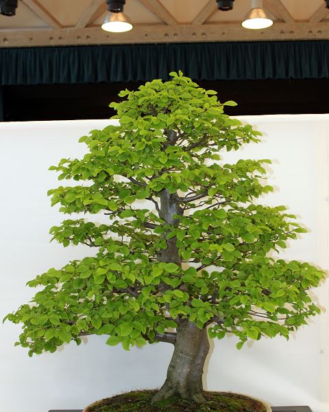 k-IMG_0034.JPG