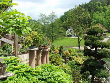 DSCF5532.jpg