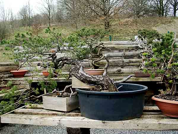 Kiefer in, na sagen wir mal Badewanne ;-).