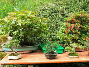 DSCF5597.jpg