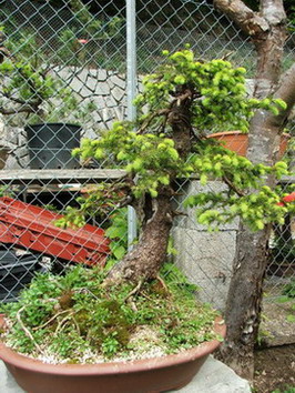 DSCF5605.jpg
