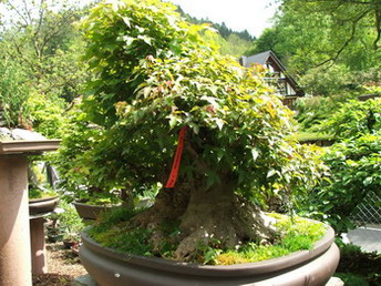 DSCF5624.jpg