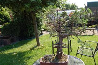 DSC_0107 (Small).JPG