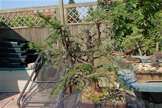 DSC_0105 (Small).JPG