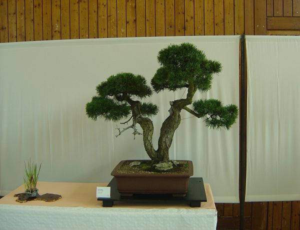 k-DSC03687.JPG