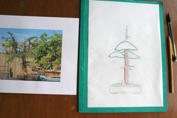 Sommerfest_Baum_MartinSturm_1b.jpg