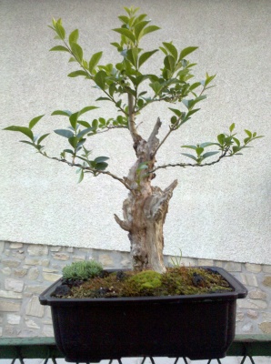 2010-06-26_20-50-22_901_298_400.jpg