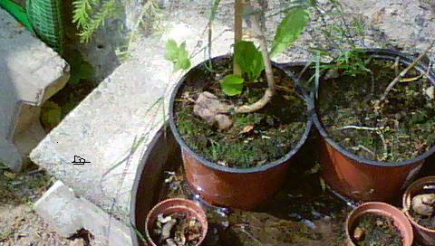 DSC03110.JPG