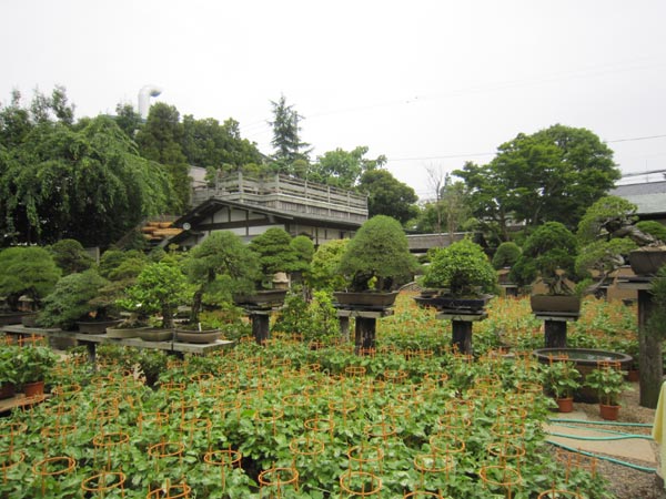 100703_Kobayashi_04.jpg