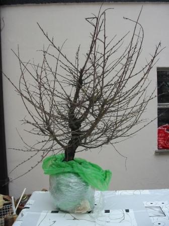 IMG_1690.JPG