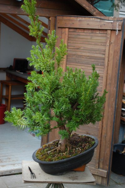 DSC_5022.JPG