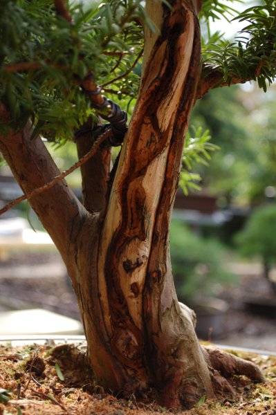 DSC_5053.JPG