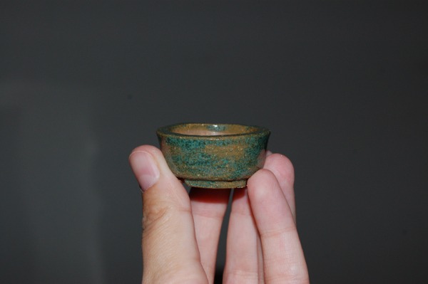DSC_5004.JPG