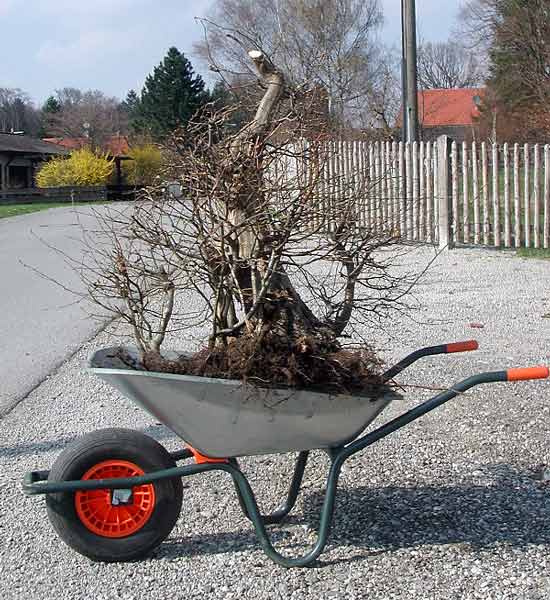 das Allergröbste ist geschafft