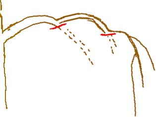 Trauerform.jpg