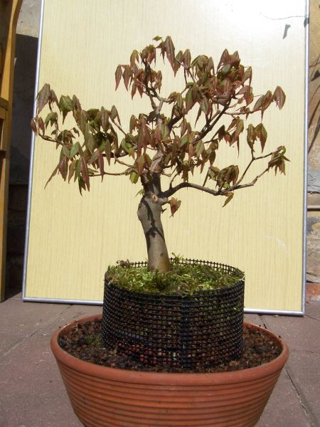 100_6806b.jpg