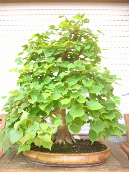 DSCN1969.JPG
