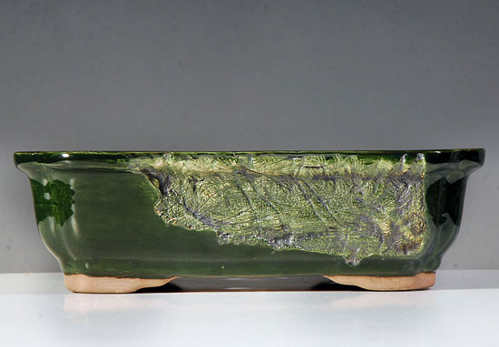 aa001.jpg