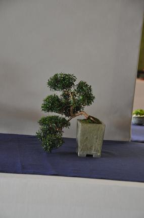DSC_0024.JPG